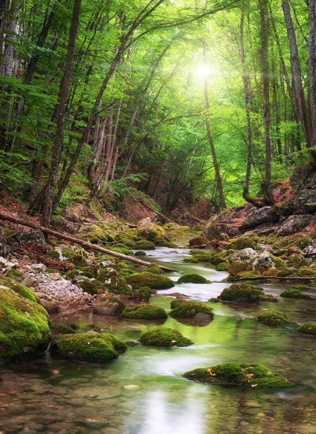 F Bach neu (jpg) | Motiv © GIS - Fotolia.com | © fotolia.com, Februar 2014