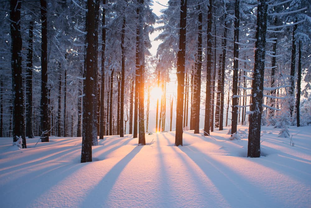 Winter | Motiv © psynovec - Fotolia.com | © Fotolia.com, Januar 2015 F Winter 1 neu (jpg) | Motiv © psynovec - Fotolia.com | © Fotolia.com, Januar 2015